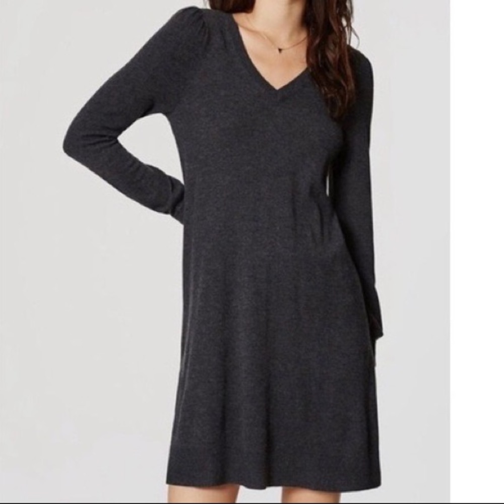 Ann Taylor Loft Dual Tone Sweater Dress